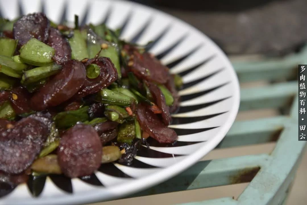 推开多肉世界的门，原来你与美食来自同一国度！