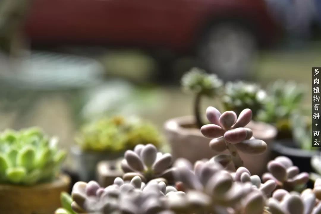 推开世界的门和自己和解,推开世界的门你所看到的风景