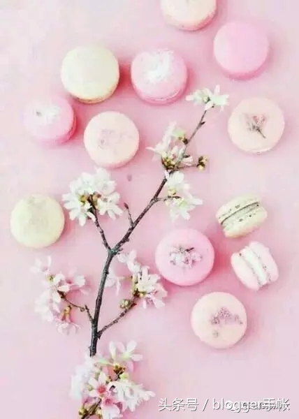 赏樱花的季节赏美人,赏樱的烂漫时节