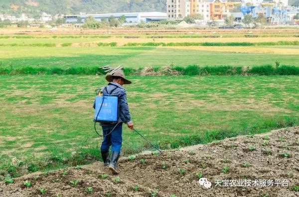这些农药知识你一定要知道,农药四霉素缺点