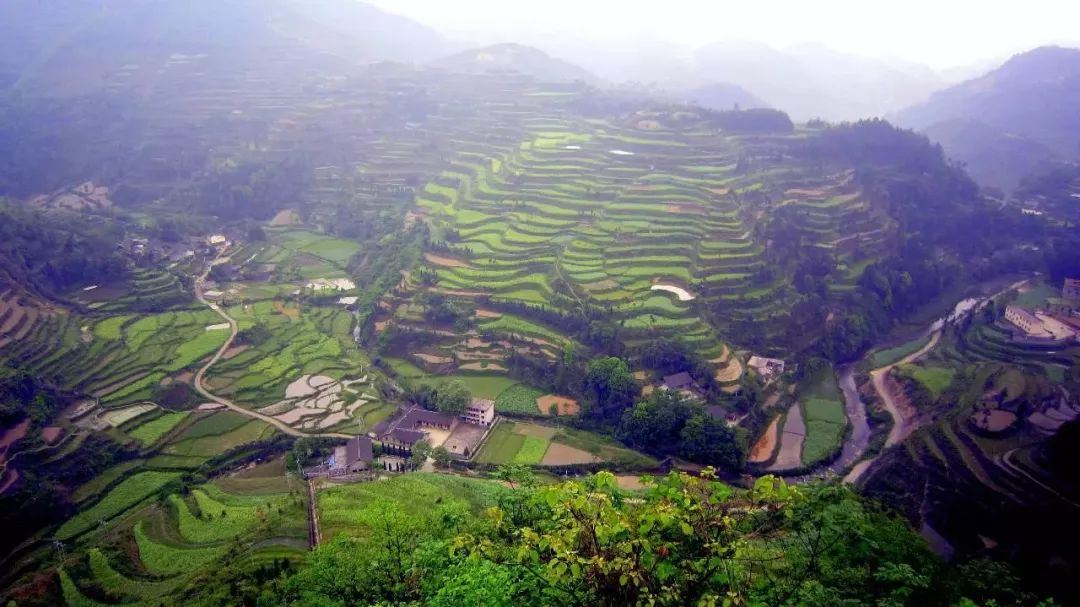 6月的贵州，简直要逼疯摄影师！