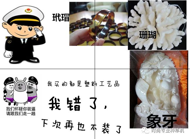 海关人脸识别系统怎样才会报警,海关人脸识别系统