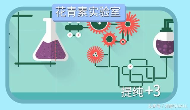 洋葱omall正品,平价葡萄籽测评