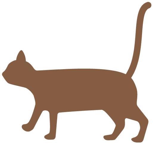 涂抹式水光和机打水光针哪种好,水光针风靡你必须知道的四个真相