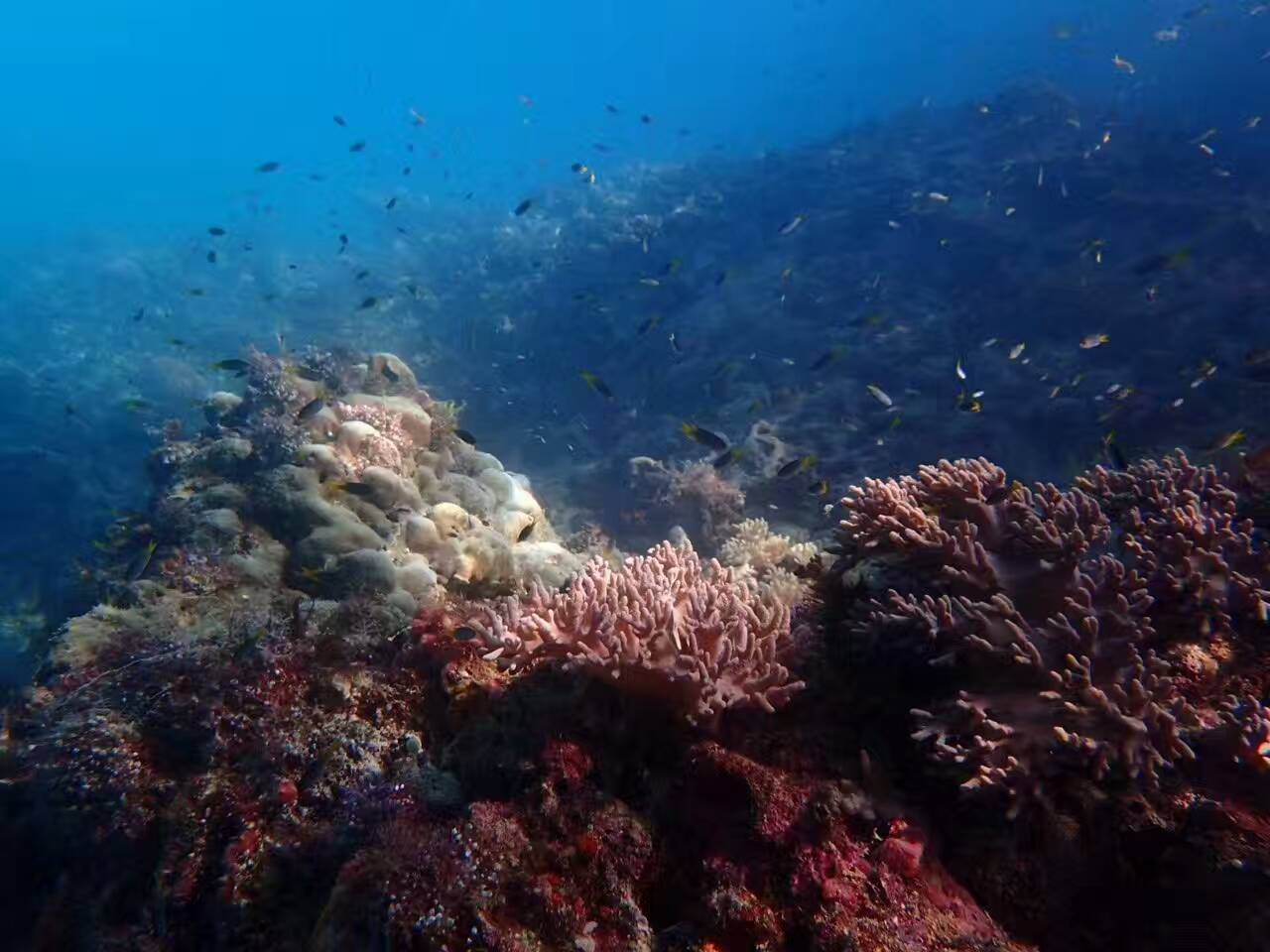 这个海岛国家｜景美人少，一个拍照P图的圣地！