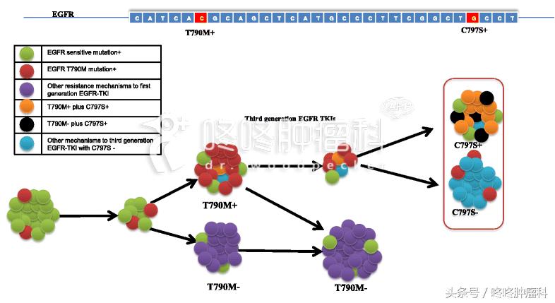 9291耐药指南：前沿进展全面汇总，治疗策略一网打尽！