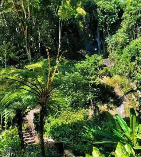 巴厘岛旅游目的地,巴厘岛深度游