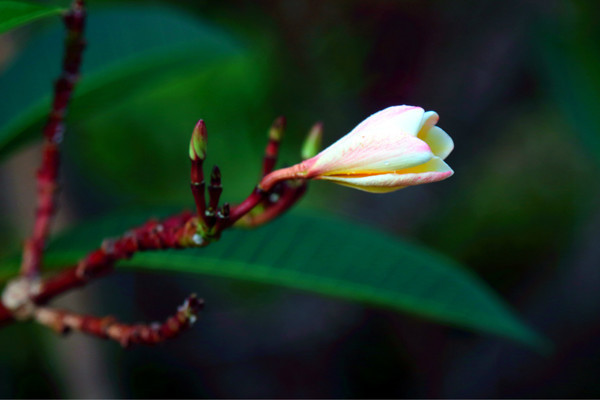 亚龙湾休闲度假康养旅游,亚龙湾老人休闲度假