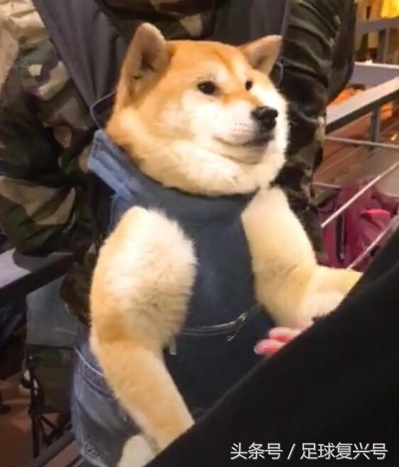 温格教授回阿森纳,温格教授阿森纳完整版