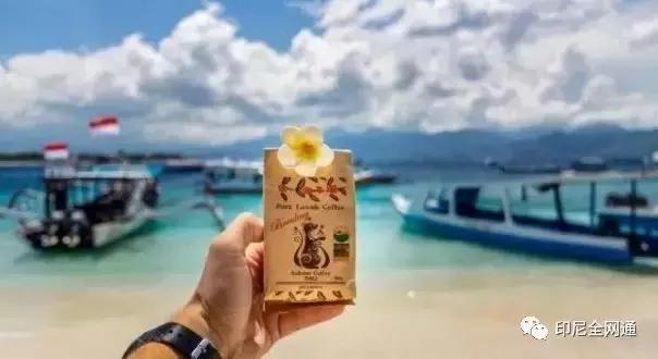 在印尼买什么特产,印尼有哪些商品值得拿到中国卖