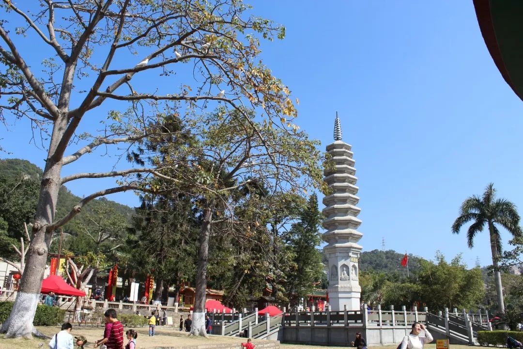 厦门鼓浪屿三日两夜亲子游,厦门鼓浪屿旅游一家三口攻略