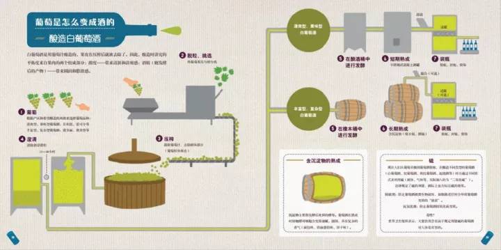 中国红酒厂酿酒全过程,中国红酒酿酒技术