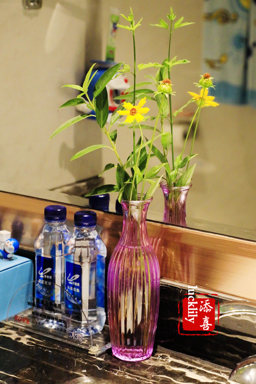 衢州碧桂园凤凰酒店钟点房,衢州凤凰碧桂园