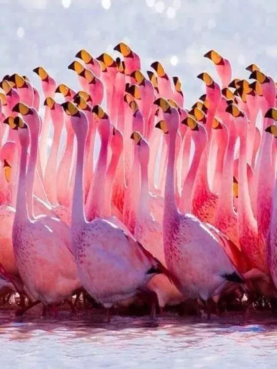 刚拍的你从未见过的集体照,史上最全的集体照