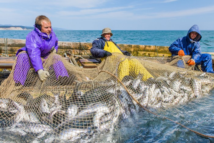 涓縿缁х画娌规皵棰嗗煙姝ｅ父璐告槗,涓縿鐭虫补浜ゆ槗鍙楀奖鍝嶅悧