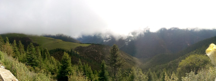 一个人、一只狗、一辆小踏板，风雨30天去*藏西**的故事（四）