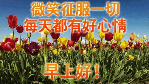 早上好祝你生活美好,早上好祝你新的一年幸福美满