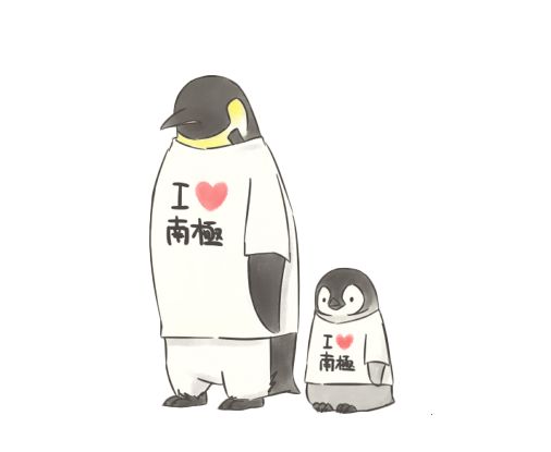 揭秘海参内幕,海参市场的真实现状