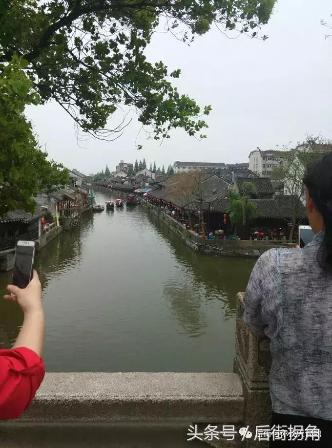 江南古镇简介,枫泾古镇一日游攻略