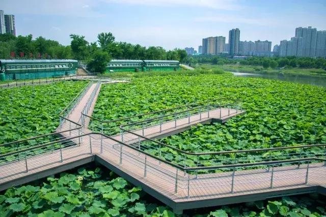西安雁鸣湖跑道,西安城市运动公园跑道
