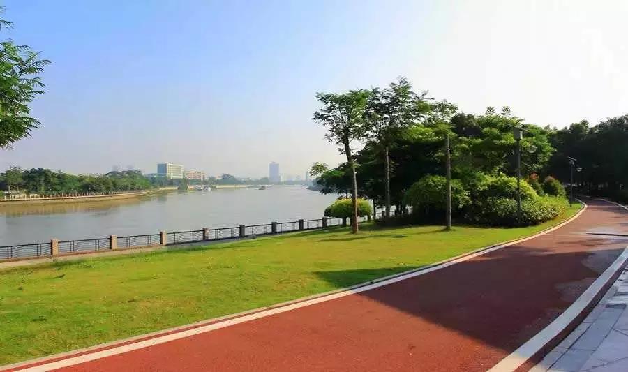 双流县十大美女,双流区漂亮美女