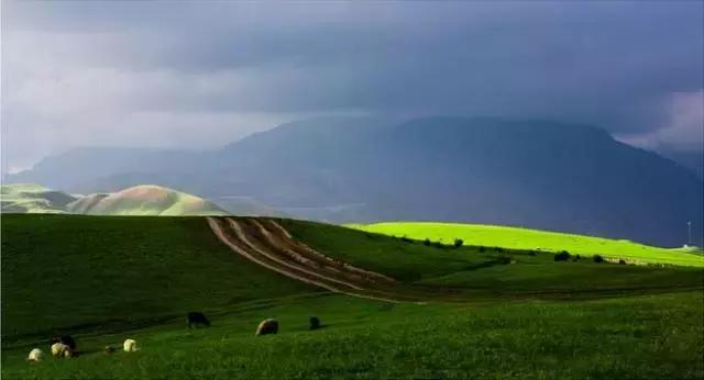 疆内春季风景,疆内美丽旅游景点