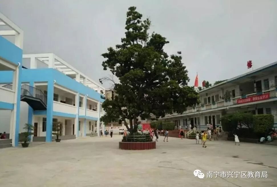 兴宁市第一小学招生片区怎么分,兴宁小学2023一年级招生简章