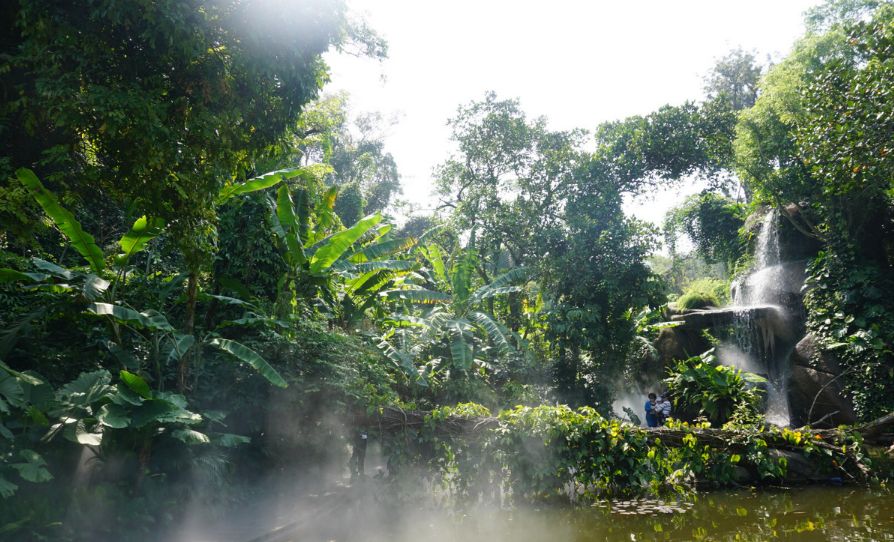 这个夏天我们再邂逅一次厦门吧,这个夏天想跟你再去一次厦门