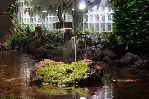 郑州适合夏天玩的旅游景点,郑州夏天旅游景点推荐