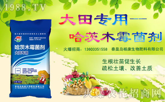 重茬烂根死苗怎么办,烂根死苗的作用