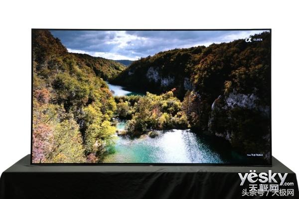 伪球迷必备看球指南,伪球迷世界杯足球