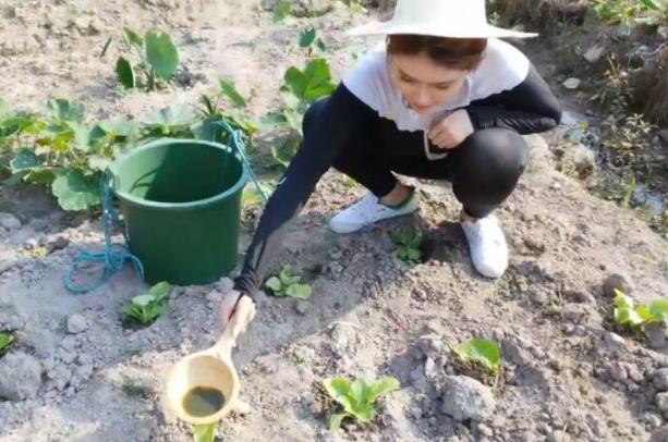 从性感女神到乡下小妹，张琪格开启户外直播变形记，网友：不容易