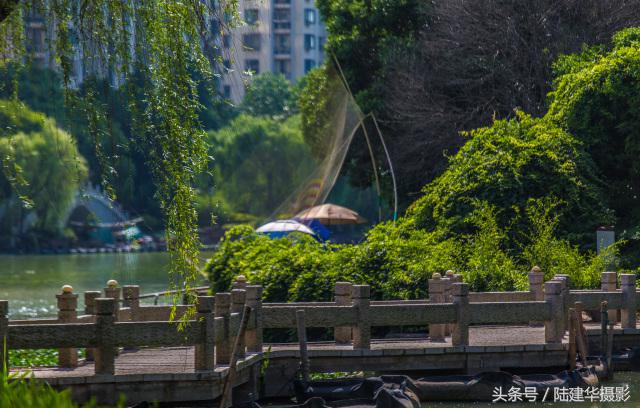 粽情端午南通,粽情端午邻里相约