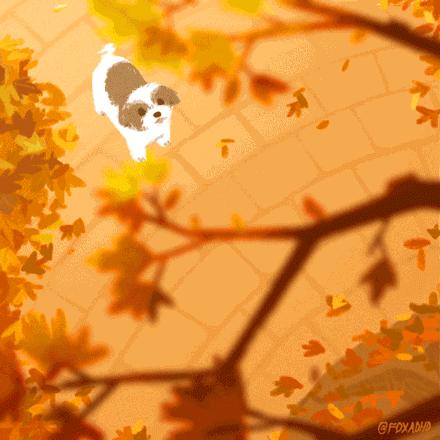 尿急的你就是这样的2018-06-12