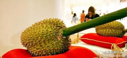 泰国最贵榴莲有多贵,泰国最贵的榴莲多少钱一斤
