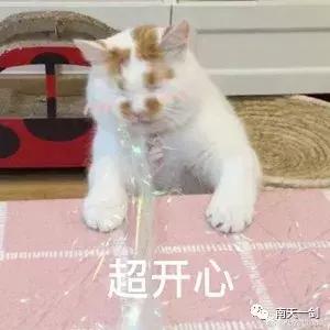 广西特岗教师和公招教师的区别,广西特岗教师待遇排行榜