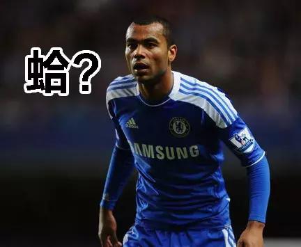 三狮和三猫谁厉害,英格兰足球三狮军团三喵