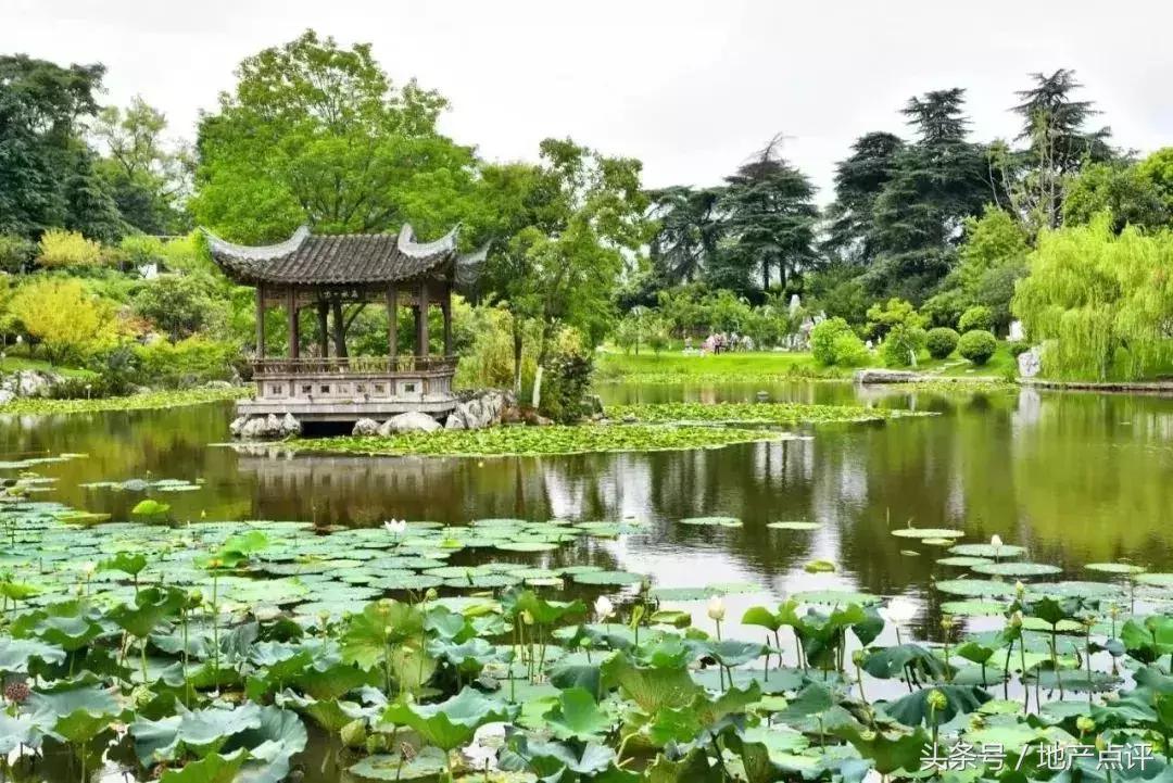 南京大爆发,大爆发攻略