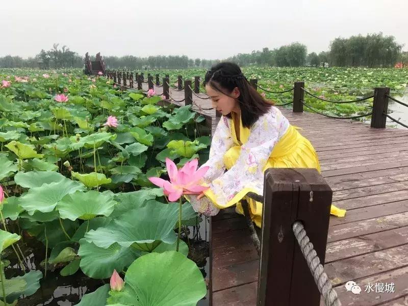 荷你有约金湖音乐节,荷你有约开学典礼