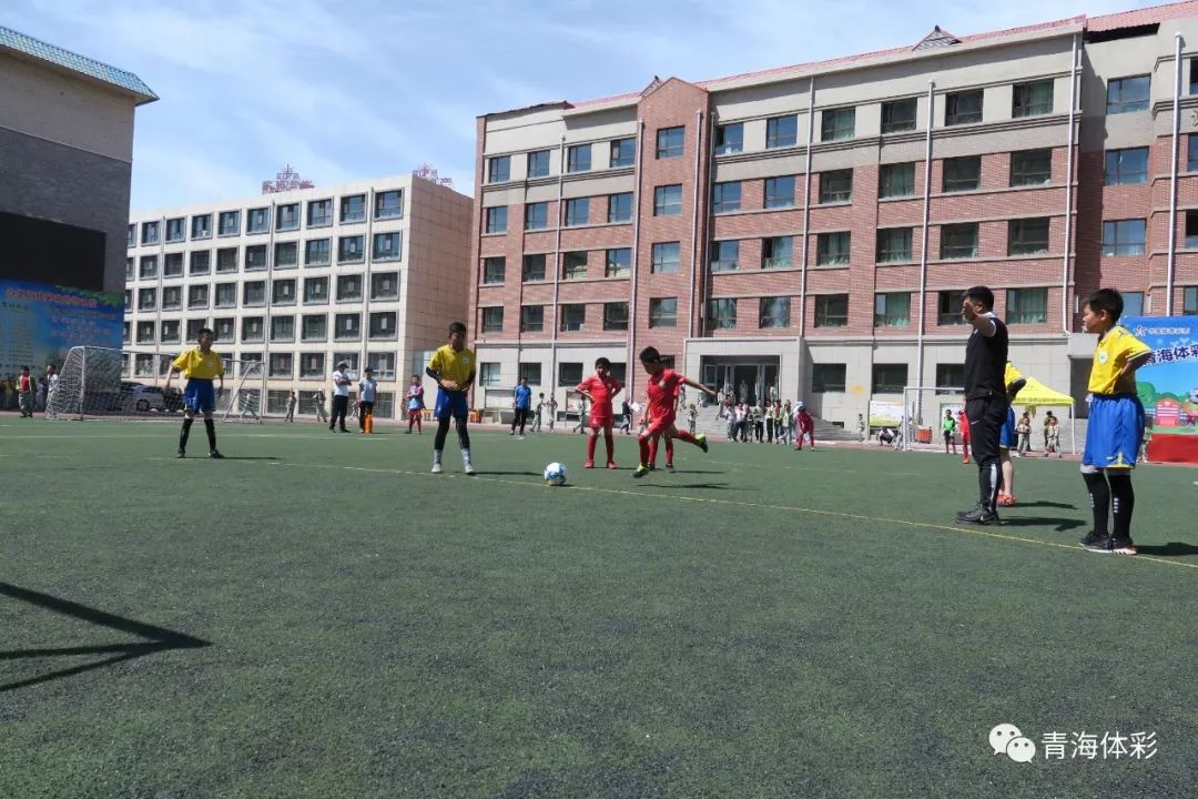 体彩公益,公益体彩助力体育事业发展