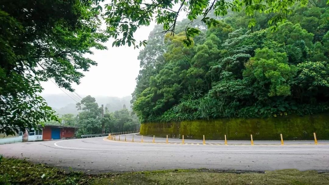 一年365天，修了364天的萨博又出来溜达了