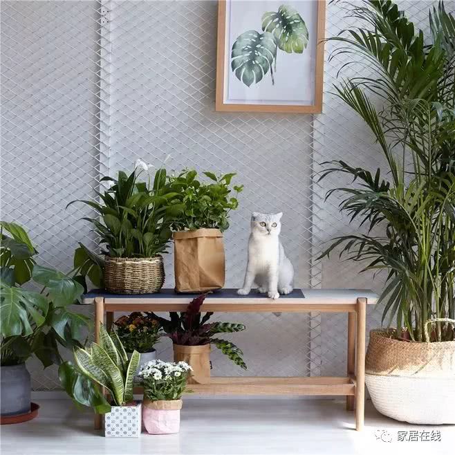 家具开裂是什么原因引起的,家具开裂是质量问题吗