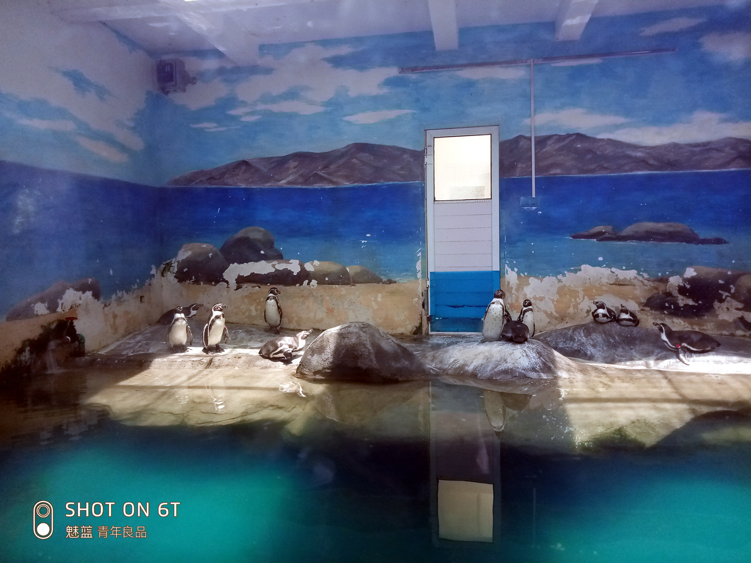 魅蓝6t百元机新标杆,魅蓝6t发布会视频回顾