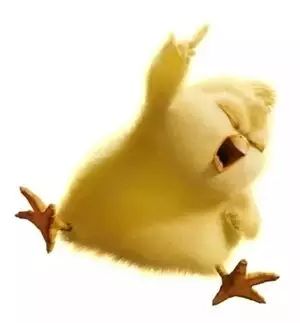 专注于动物保健非抗生素领域研发，致力成为此领域世界一流制造企业——石家庄正大鸿福集团2018-2019年度总结大会记