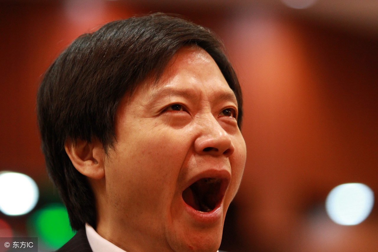 小米招股最新消息,小米招股书的三大争议