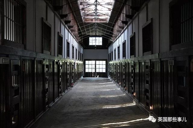 沙特王室公主生活,沙特王室公主的生活是怎样