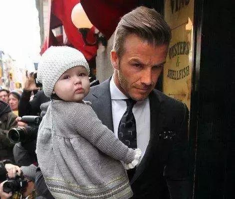 世界杯球迷观赛指南最新,伪球迷的观赛指南