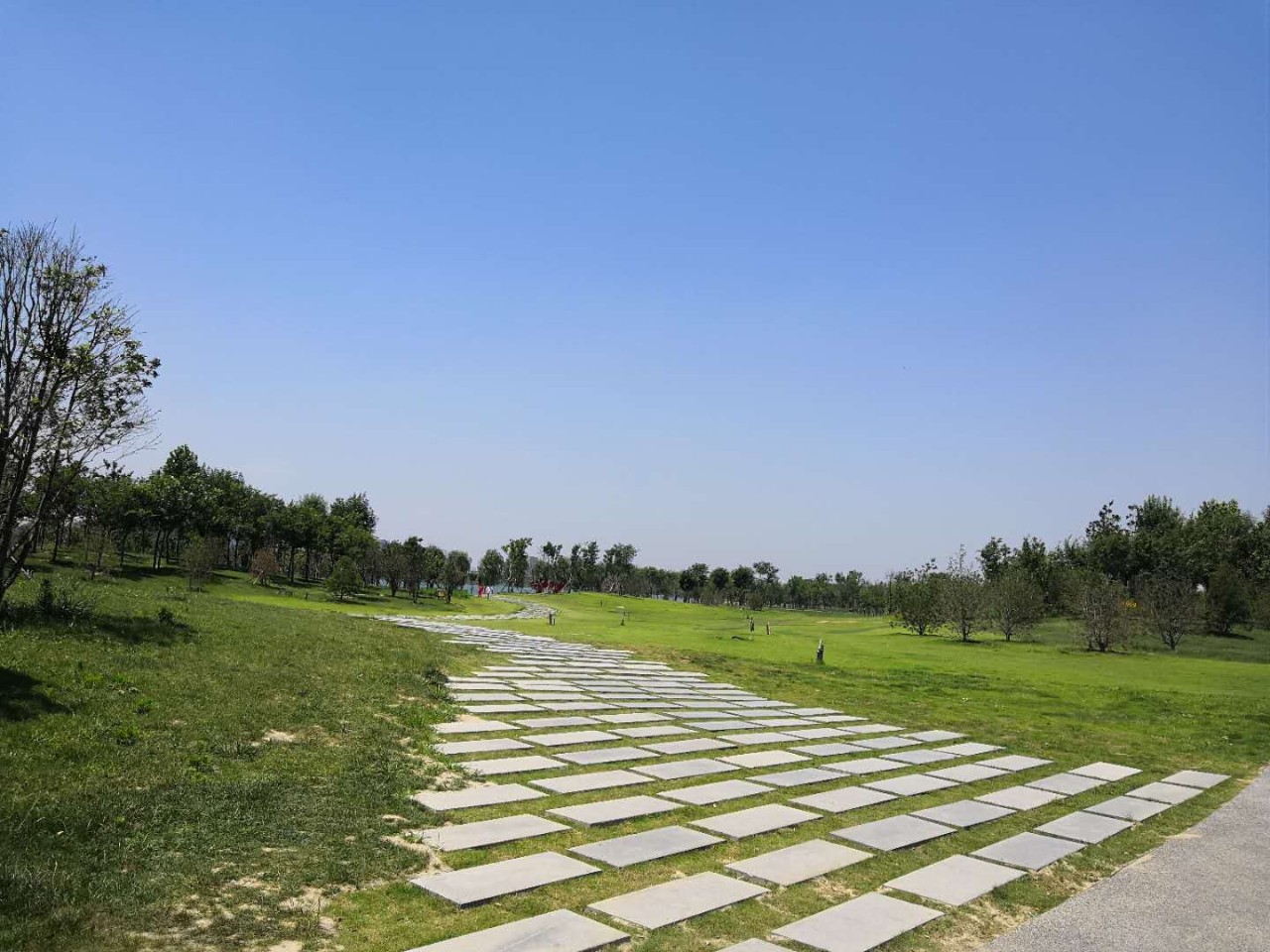 白沙组团最近消息,白沙组团最新消息