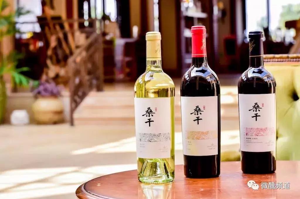 游遍世界名庄的知名葡萄酒讲师为桑干酒庄打call