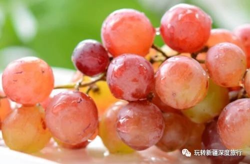 南疆最好吃的瓜果,新疆瓜果什么最好吃又便宜